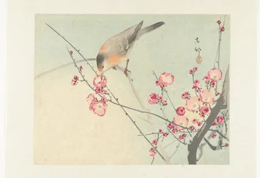 Singvogel auf einem Blütenzweig