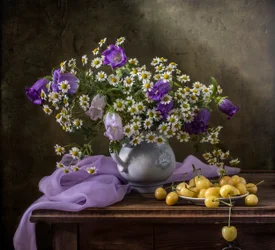 Gänseblümchen und gelbe Kirschen