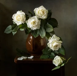 Elegante weiße Rosen