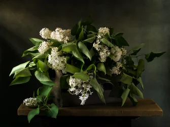 Stimmungsvolles Fliederbouquet