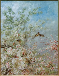 Der Mai