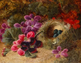 Ein Vogelnest und Geranien