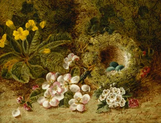 Apfelblüten, eine Primel und ein Vogelnest auf einem moosigen Ufer