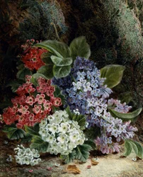 Flieder- und Weißdornblüten