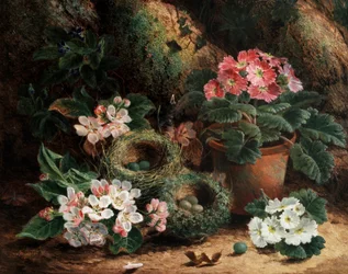 Apfelblüten und Primeln