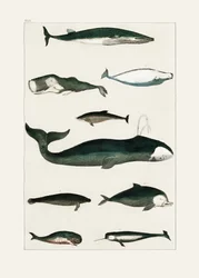 Vintage-Walposter
