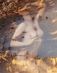 Nudo su sabbia, 2019