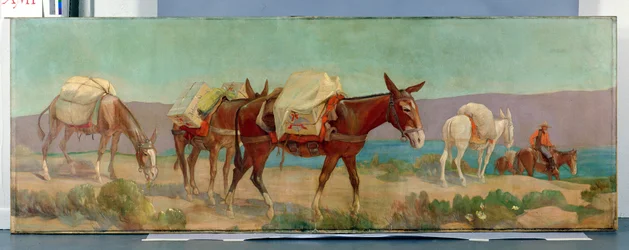 Anheuser-Busch Packesel