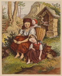 Müde Tottie