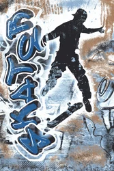 Skater Graffiti Sprung