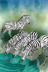Zebras am Wasserloch