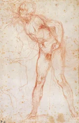 Studie eines männlichen Aktes nach links gewandt