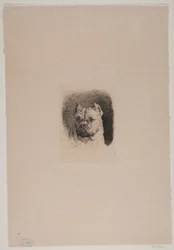 Ein Hundekopf