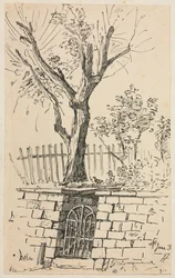 Baum auf einer Steinmauer, Cleveland