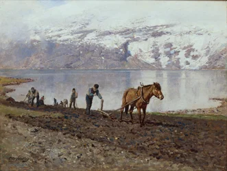 Pflügen mit Pferden