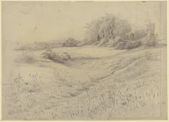 Waldlandschaft bei Kronberg