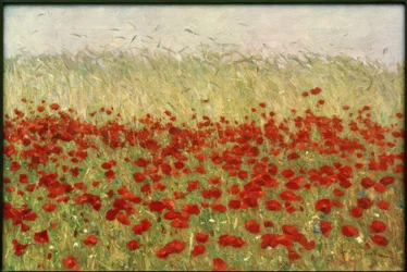 Mohnblumen und Korn