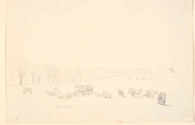 Kühe auf der Weide, im Hintergrund Tagens Mühle