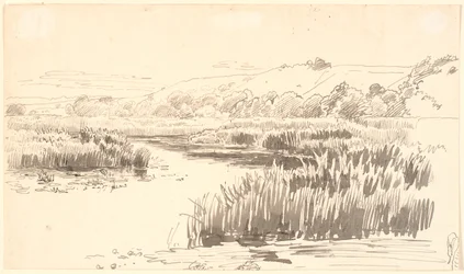 Landschaft mit einem Fluss, an dessen Ufer hohe Schilfrohre wachsen. Hügel im Hintergrund. Vermutlich Vejle
