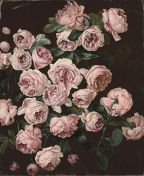 Ein Rosenstrauch