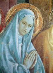 Kopf der Heiligen Anna aus der Darstellung Mariens im Tempel, 1433-34 (Detail)