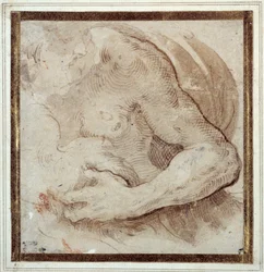 Studie des linken Arms, der Brust und des Kopfes eines bärtigen Mannes