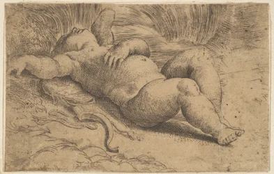 Schlafender Amor, 16. Jahrhundert