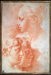 Studie der Köpfe, ca. 1527