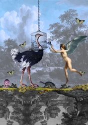 Surrealer Straußenengeltraum