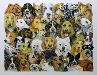 Hundefreunde