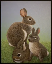 Kaninchenfamilie, 2016