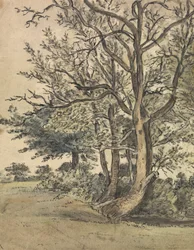 Teil des Regent