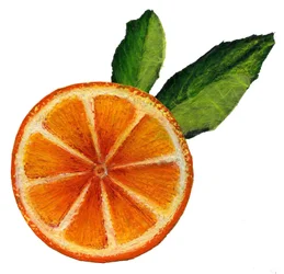 Frucht, 2021