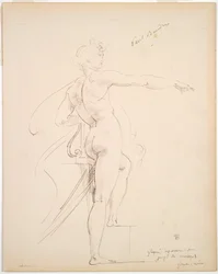 Studie von Apollo für Marsyas (recto); Gesicht im Profil (verso)