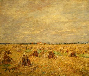 Geerntete Felder in einer flachen Landschaft