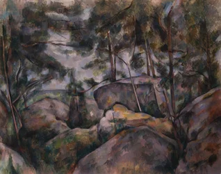 Felsen im Wald
