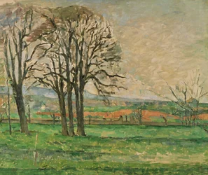 Die kahlen Bäume am Jas de Bouffan