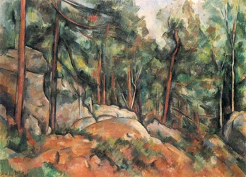 Waldinneres