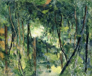 Unterholz, ca. 1885