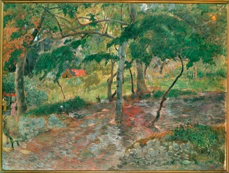 Der Teich, Martinique