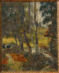 Landschaft in der Normandie mit Teich