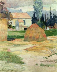 Landschaft bei Arles