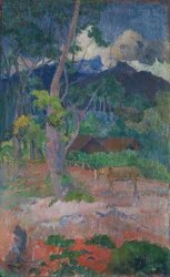 Landschaft mit einem Pferd