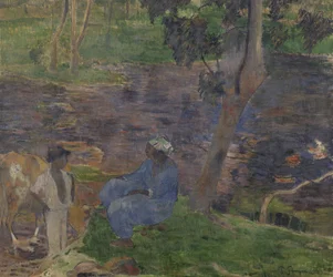 Am Ufer des Flusses auf Martinique