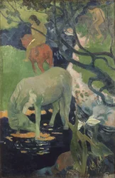 Das weiße Pferd
