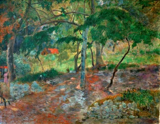 Tropische Landschaft auf Martinique