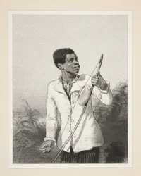 Der Bobre von der Insel Mauritius