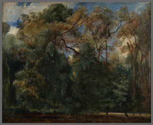 Die Ulmen von Saint-Cloud