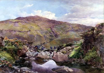 Der Bach am Hügel