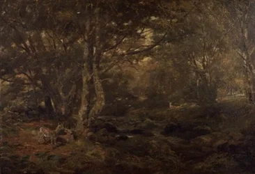 Durch den Wald, Pont-y-Gytyn, Nordwales